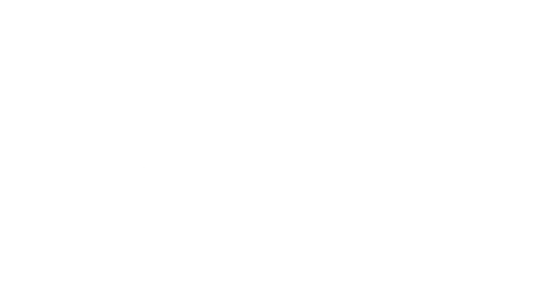Veen Africa Logo
